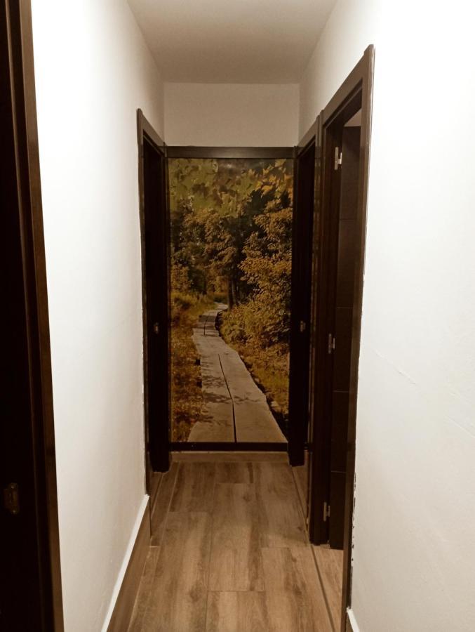 Precioso Apartamento 3 Habitaciones. Con Patio. Camas Bagian luar foto